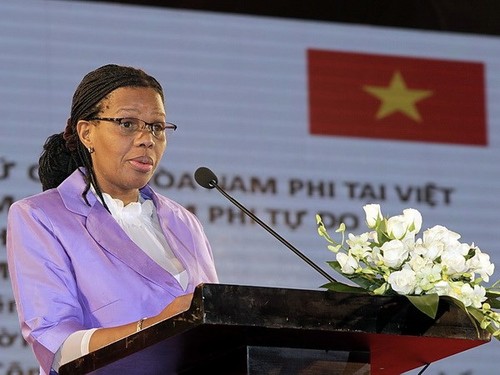 Вьетнам – один из важных торговых партнеров ЮАР в Азии - ảnh 1